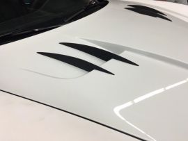 2012-2014 Porsche 991 Turbo S & Carrera Custom Design GTR-R Aluminum OEM Hood