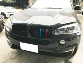 BMW F16 X6 2015 Front Grille